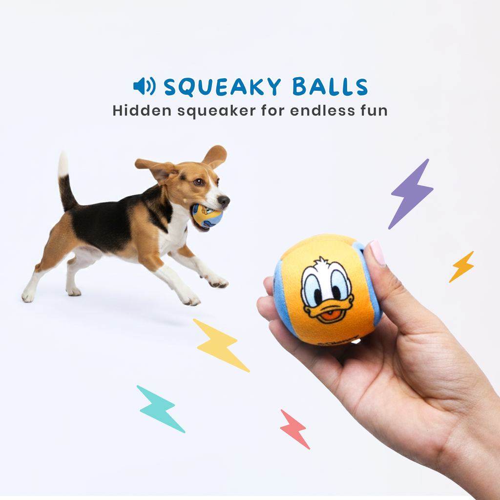Official Disney Ball Toys