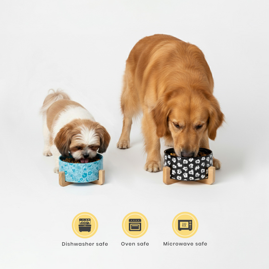 Official Disney Ceramic Mickey Black & White Bowl