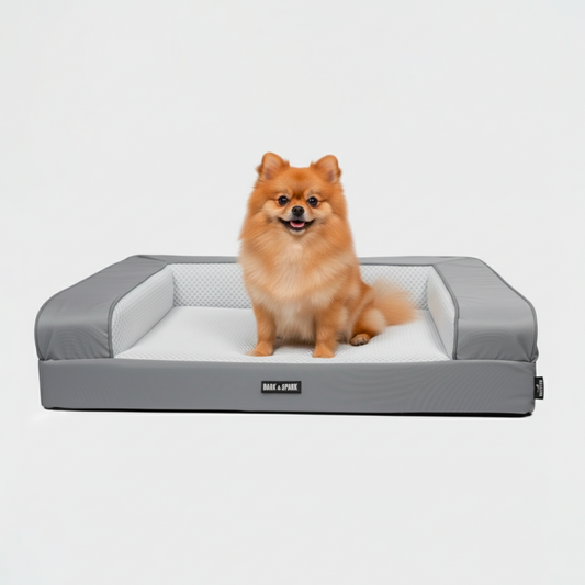 Sofa Bed - Grey