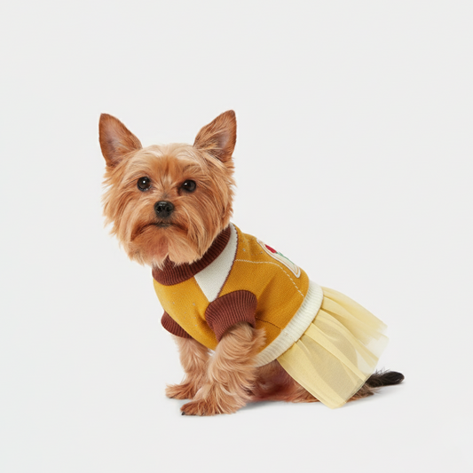 Official Disney Princess Belle Sweater