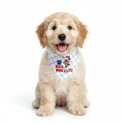 Official Disney See You Latte Bandana