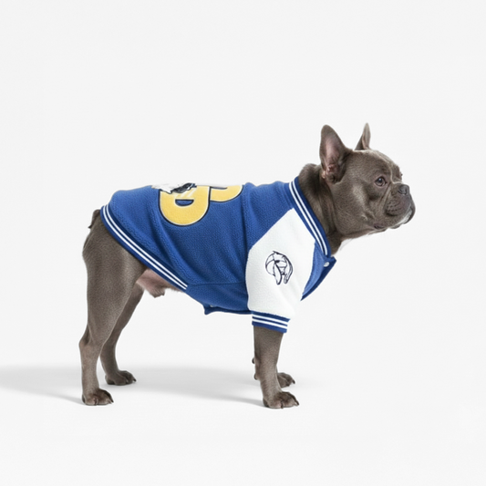 Official Disney Donald Duck Varsity Jacket