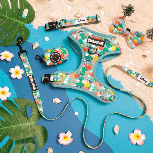 Official Disney Lilo & Stitch (Hawaiian Vibes) Dog Harness and Leash Set