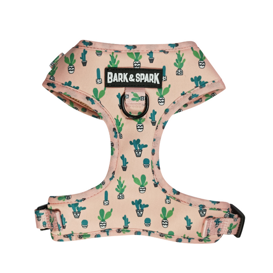 Clearance Harnesses