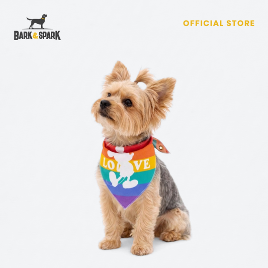 Official Disney Bandana (Pride Collection)