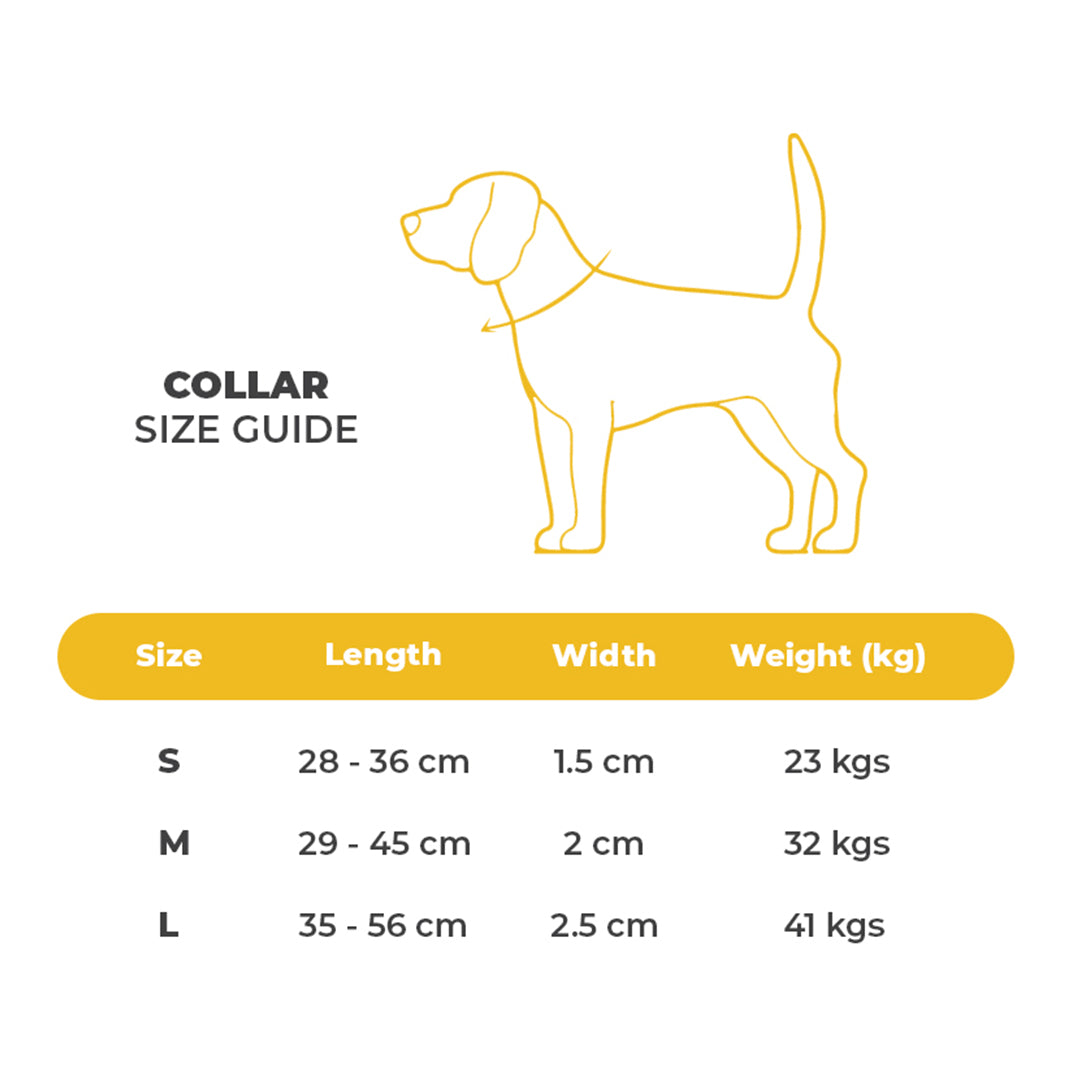 Dog Collar - Blue Denim