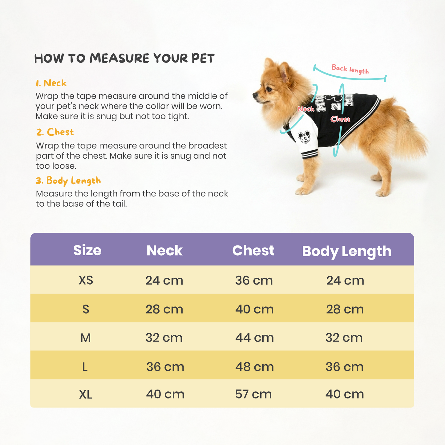 Official Disney Chip n' Dale Varsity Jacket