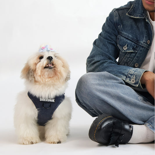 Adjustable Dog Harness - Black Denim