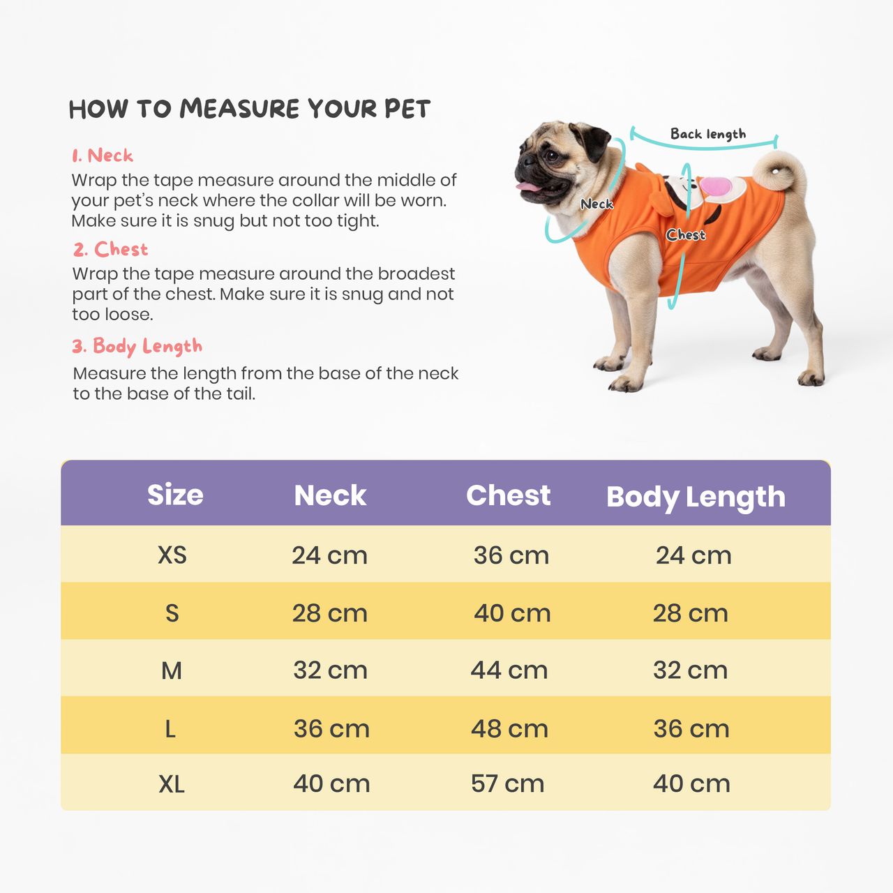 Official Disney Princess Belle Shirt