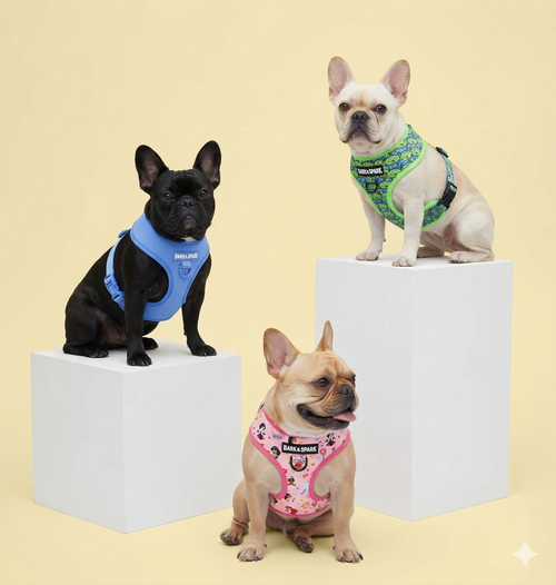 Harness Sets
