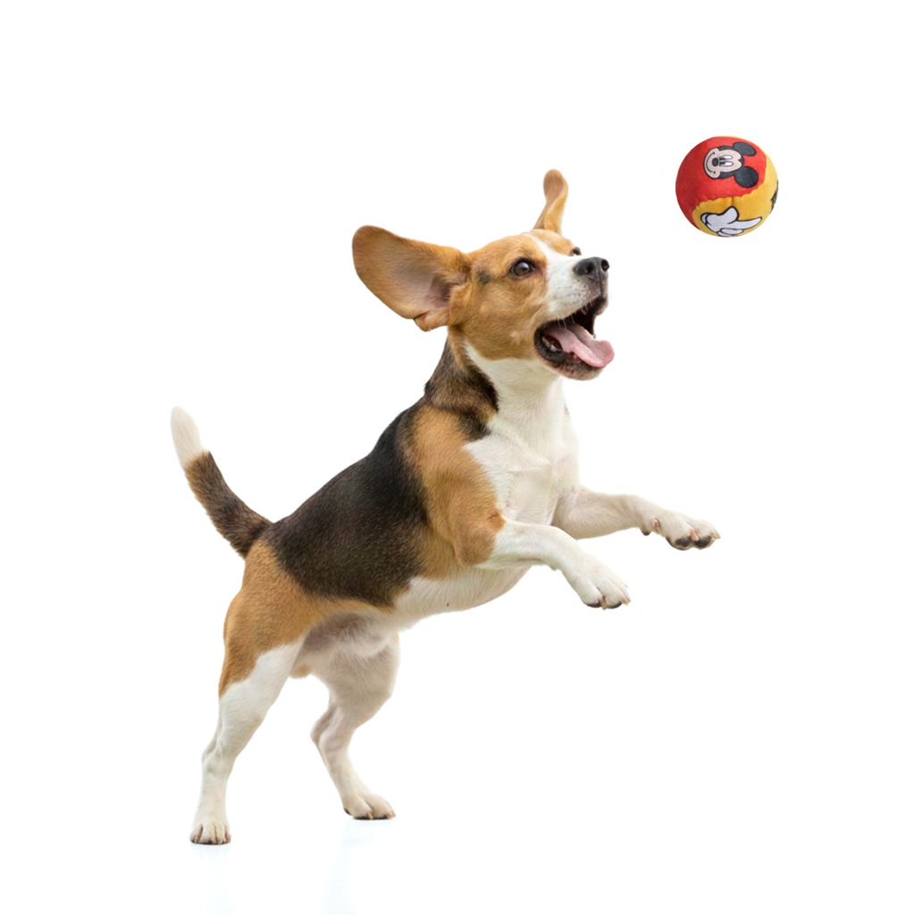 Official Disney Ball Toys