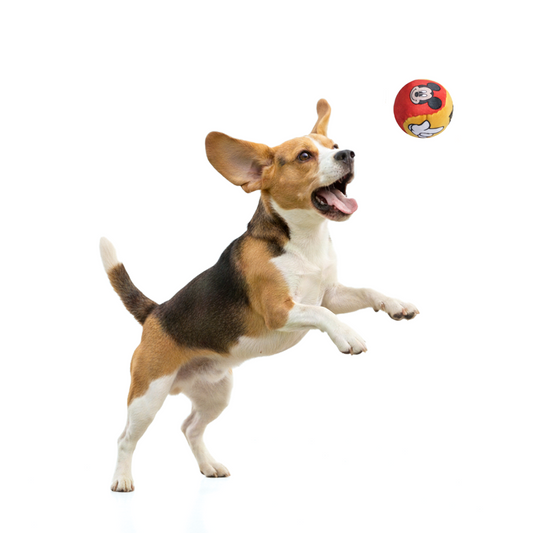 Official Disney Ball Toys