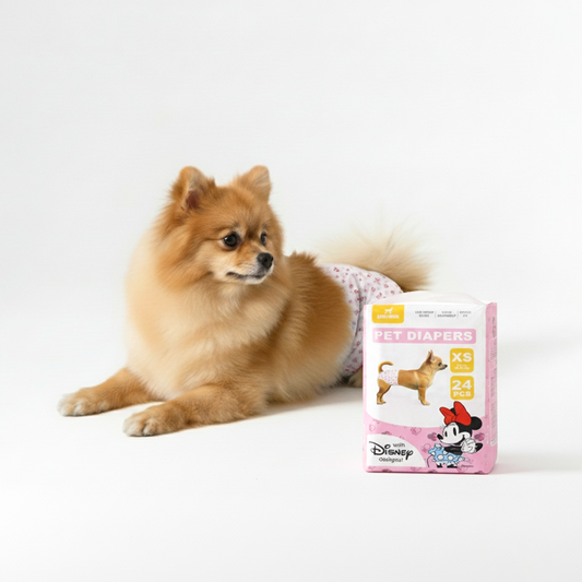 Official Disney Dog Diaper