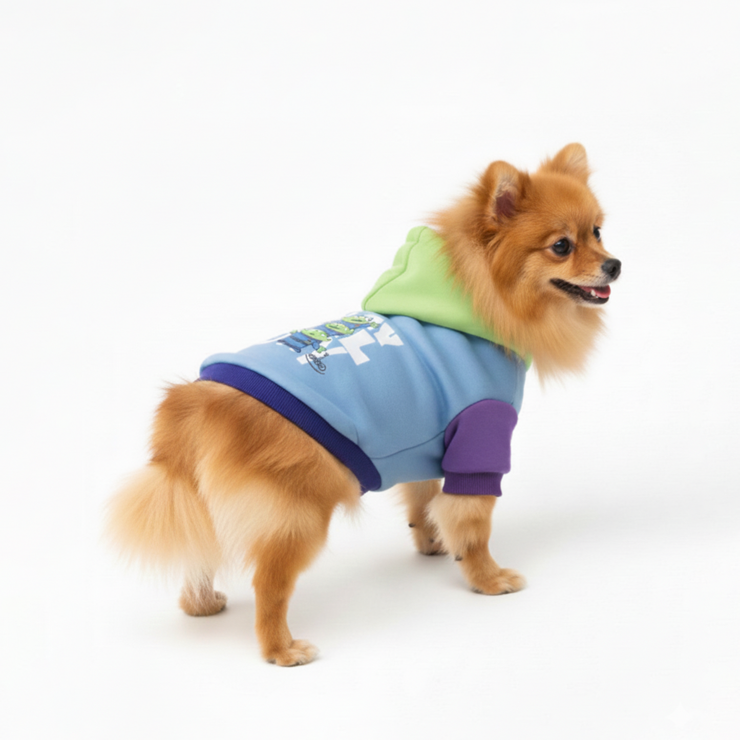 Official Disney Hoodie Aliens (Toy Story)