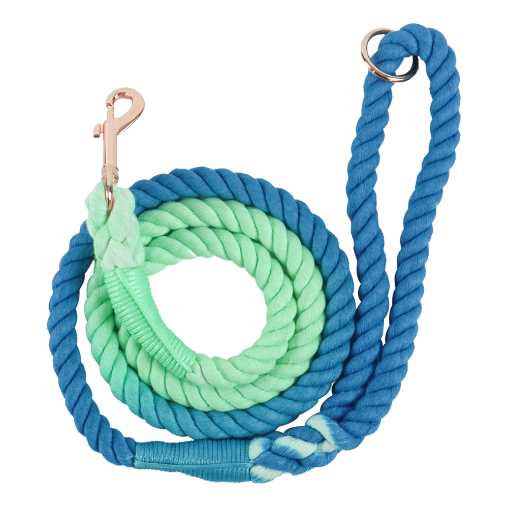 Dog Cotton Rope Leash - Aquamarine