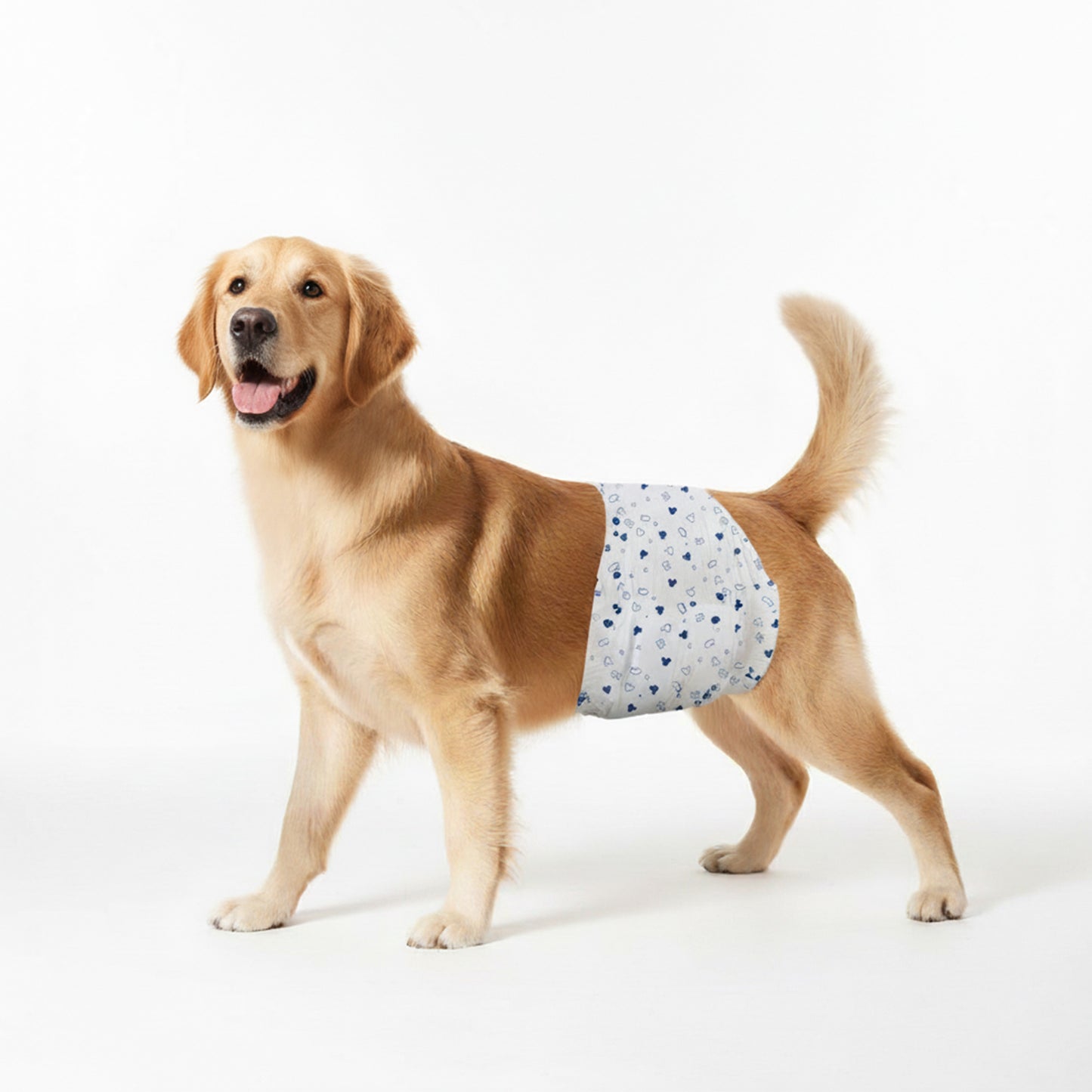 Official Disney  Male Dog Wraps