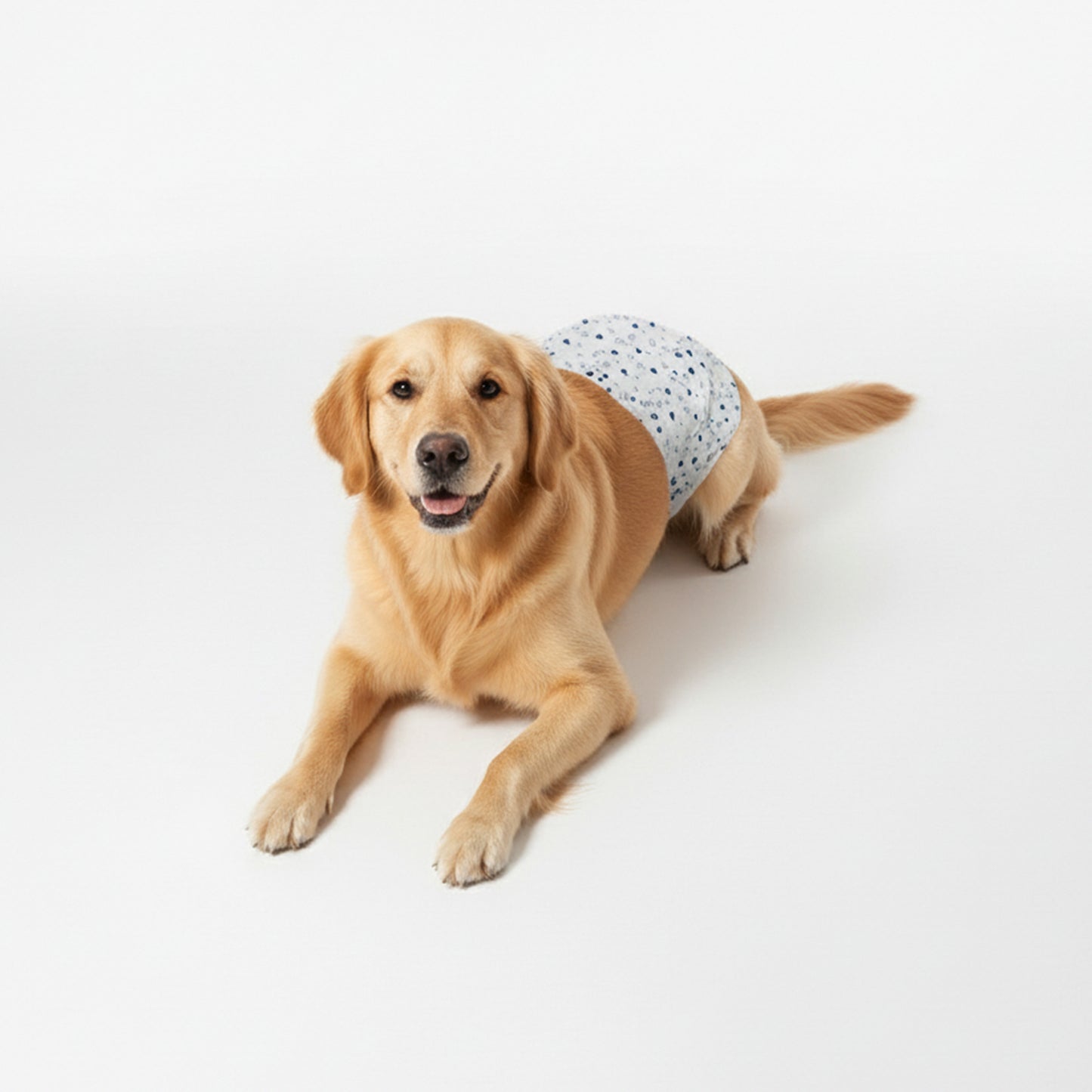 Official Disney  Male Dog Wraps