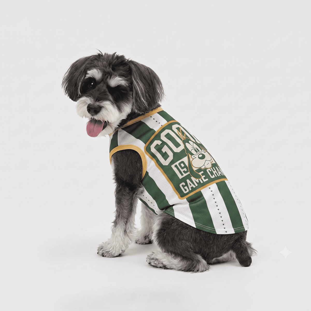 Official Disney Goofy Jersey