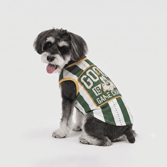Official Disney Goofy Jersey