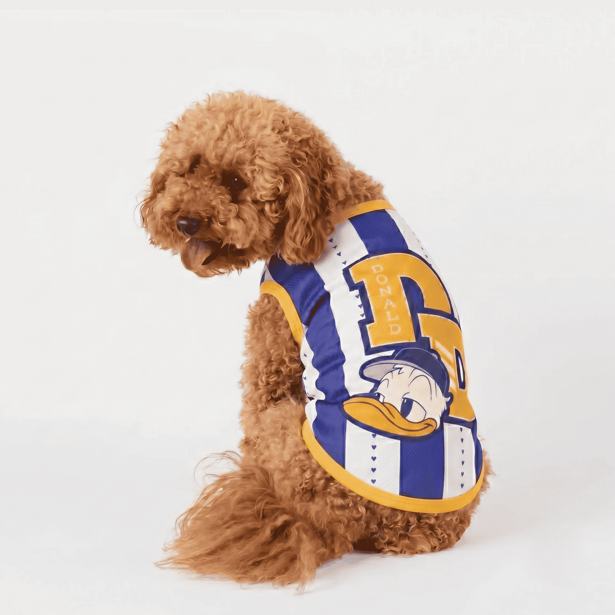 Official Disney Donald Jersey