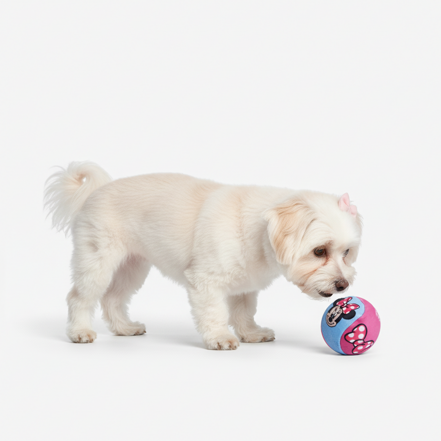 Official Disney Ball Toys