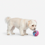 Official Disney Ball Toys