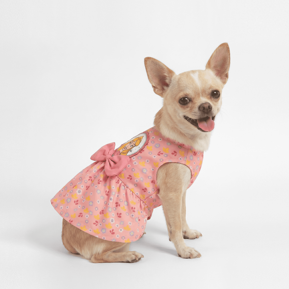 Official Disney Princess Aurora Dress
