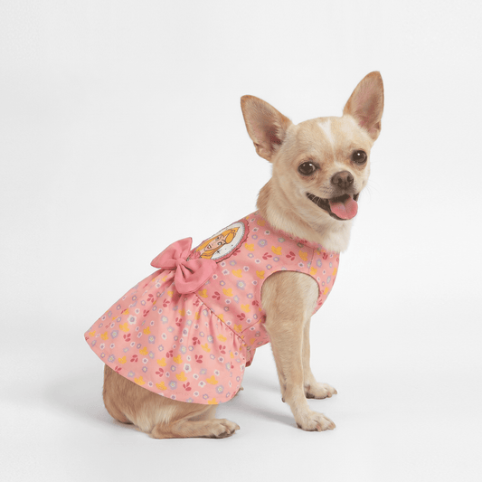 Official Disney Princess Aurora Dress