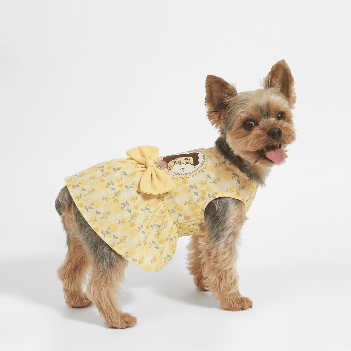 Official Disney Princess Belle Dress