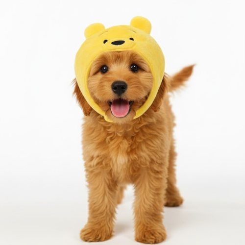 Official Disney  Pooh Hat