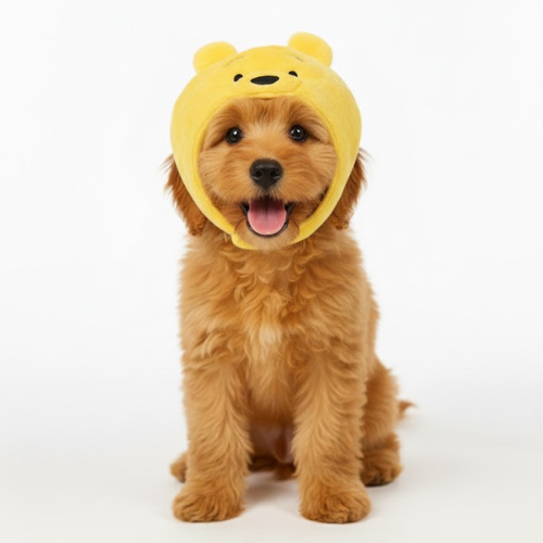 Official Disney  Pooh Hat
