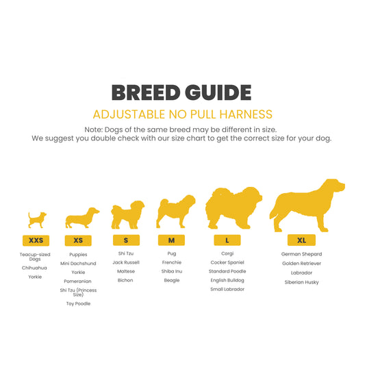 Official Disney Frozen (Olaf’s Winter Wonderland)  Dog Harness and Leash Set