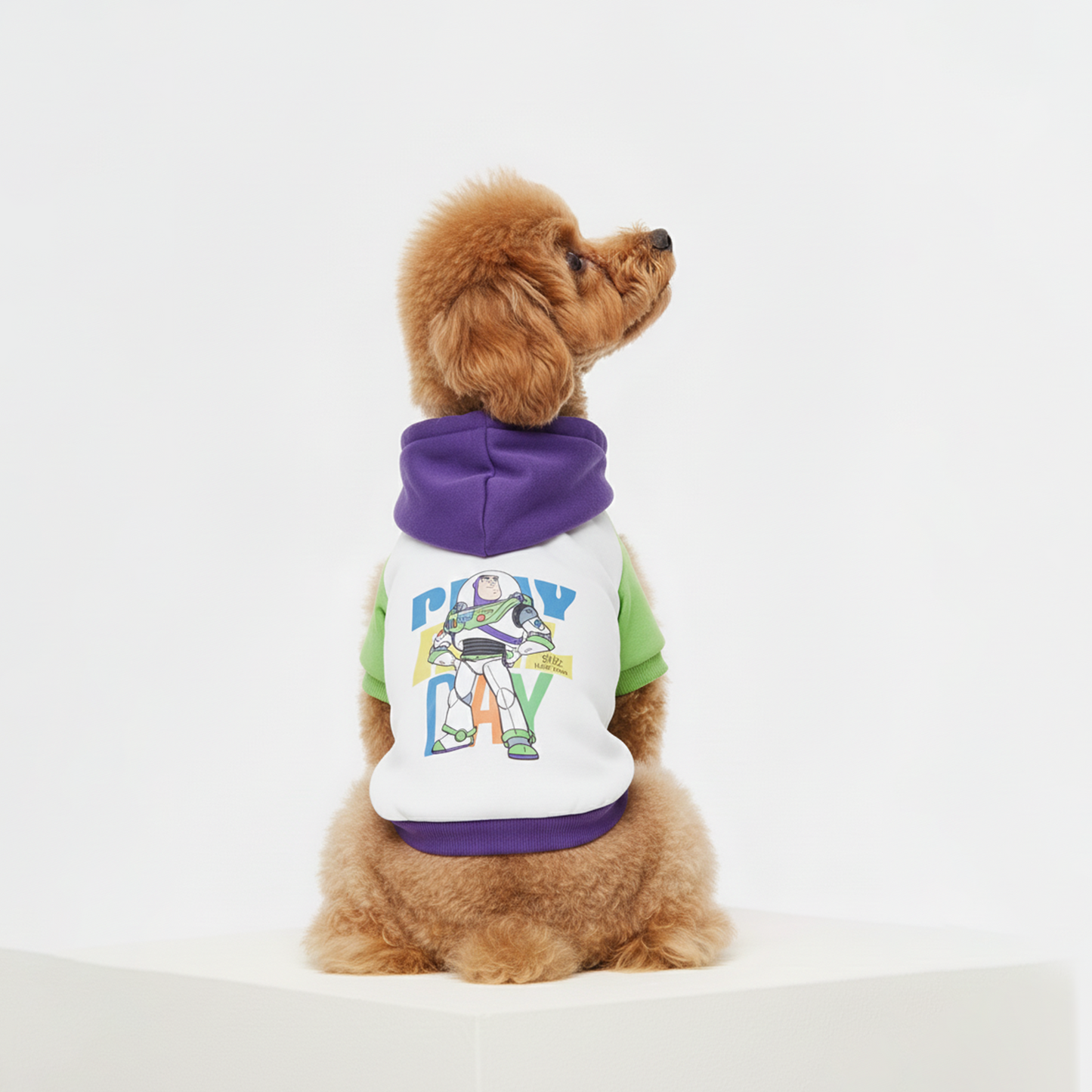 Official Disney Hoodie  Buzz (Toy Story)