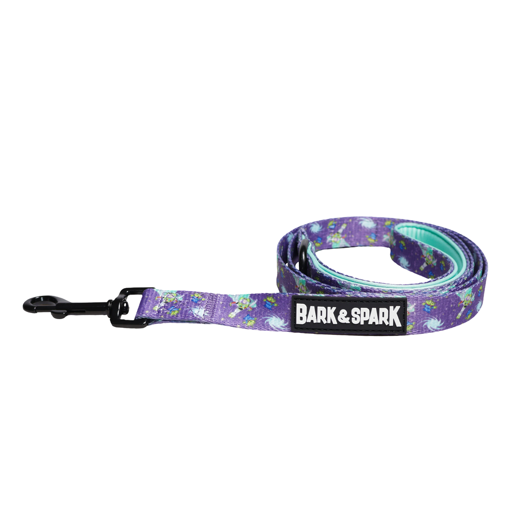 Official Disney  Toy Story (Buzz's Space Quest) Dog Leash