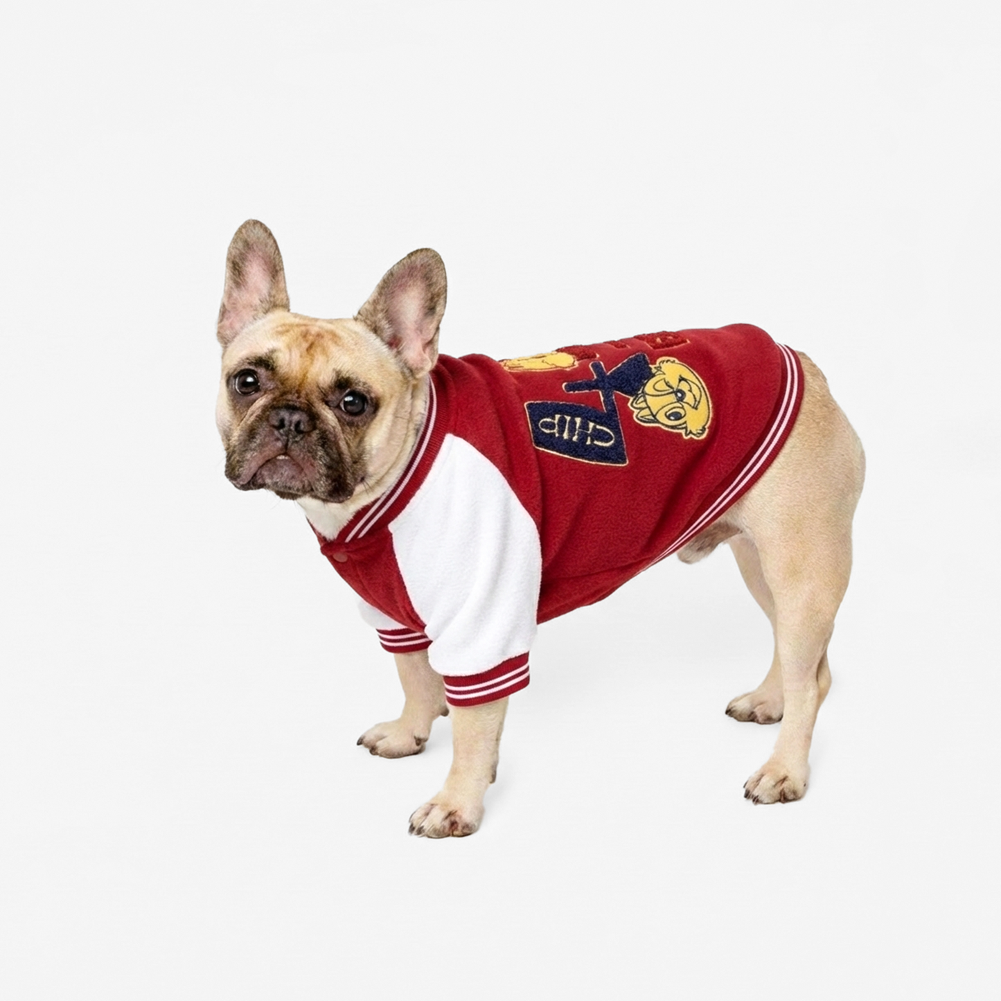 Official Disney Chip n' Dale Varsity Jacket