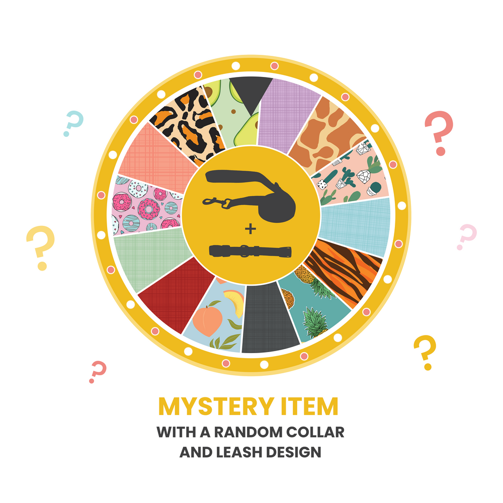 Dog Collar - Mystery
