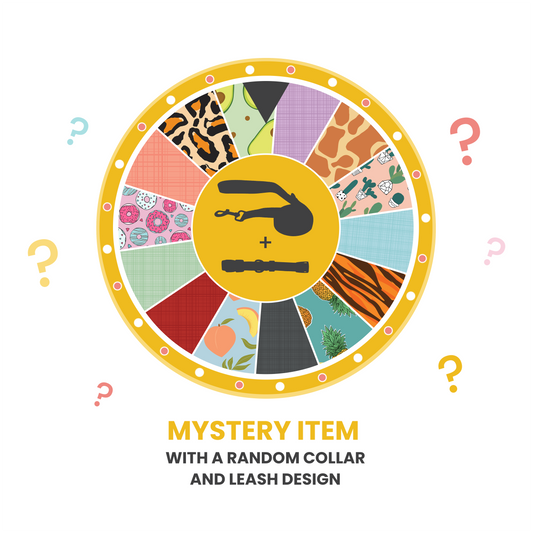 Dog Collar - Mystery