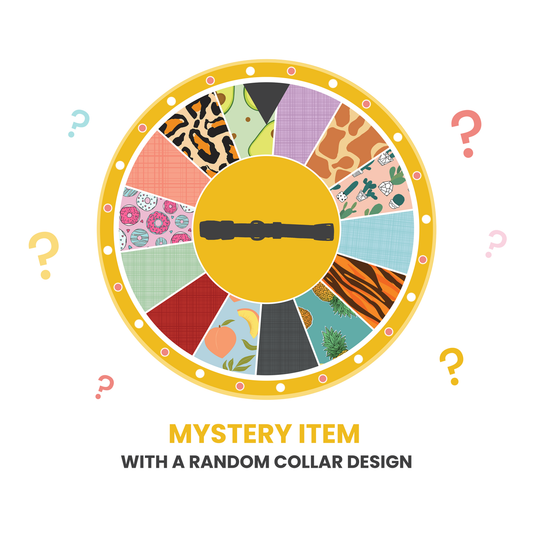 Dog Collar - Mystery