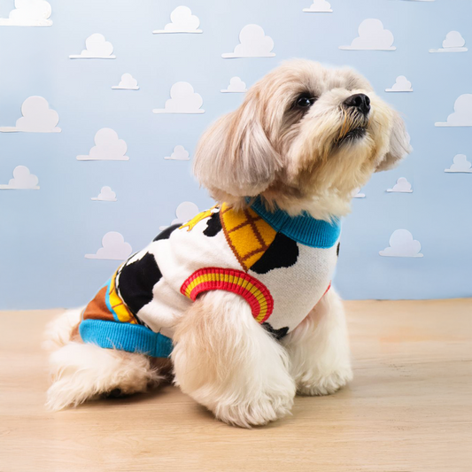 Official Disney  Woody Sweater