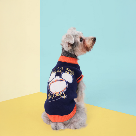 Official Disney  Mickey & Friends Sweater