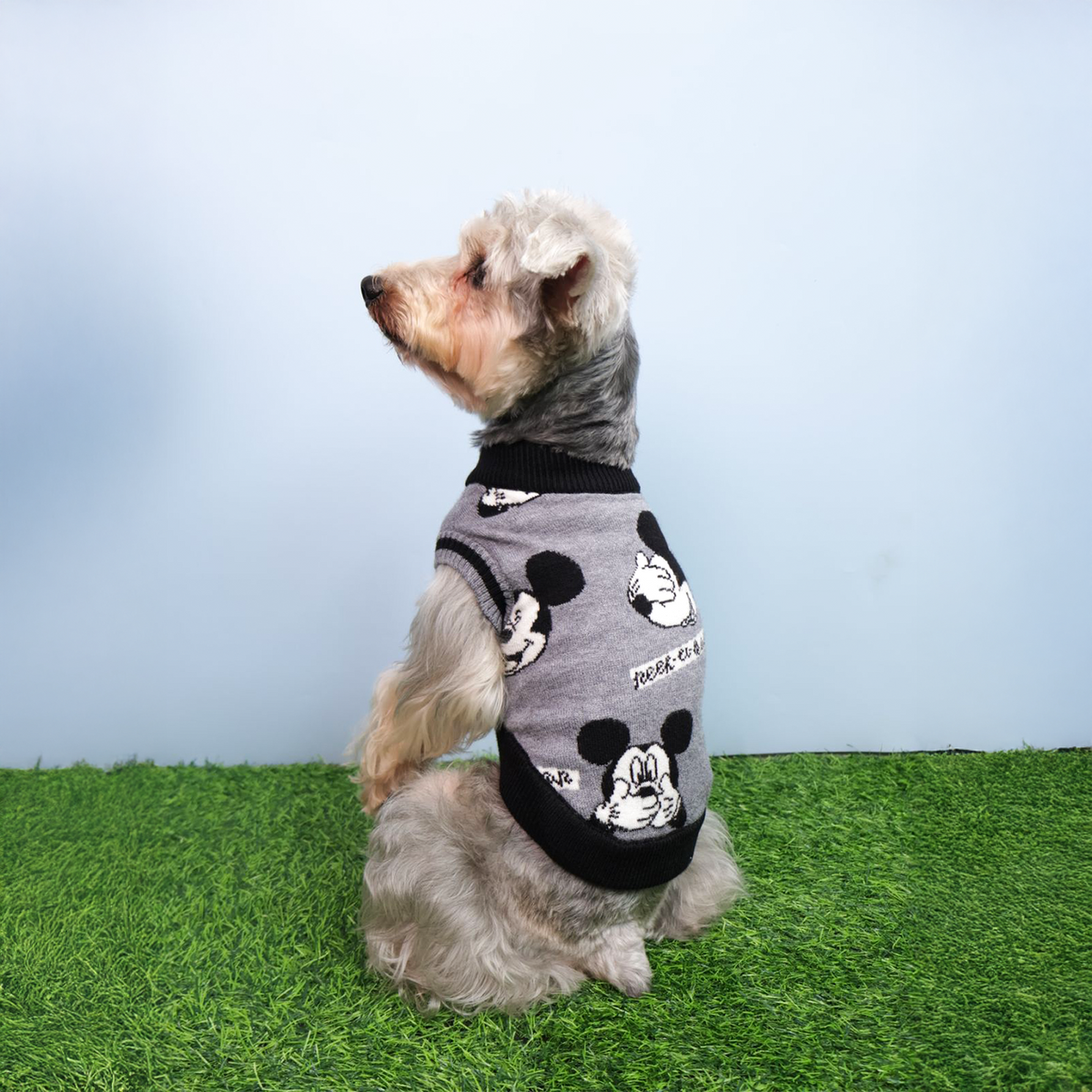 Sweater - Disney Mickey & Friends: Classic B&W