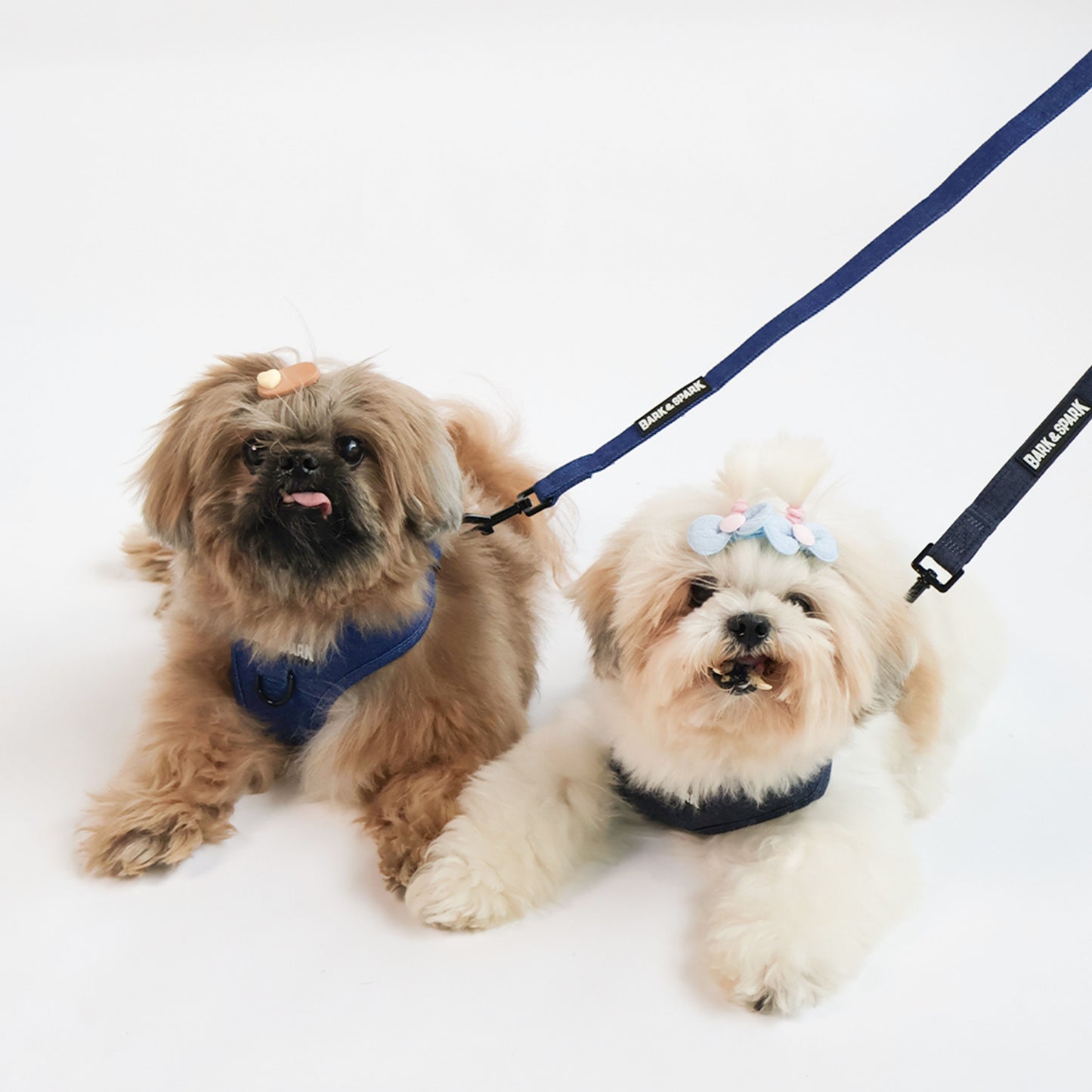 Dog Leash - Black Denim