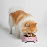 Official Disney Princess Be True Melamine Pet Bowl