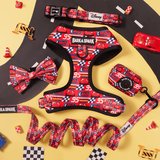 Official Disney Cars (Racing Fever)  Dog Harness and Leash Set