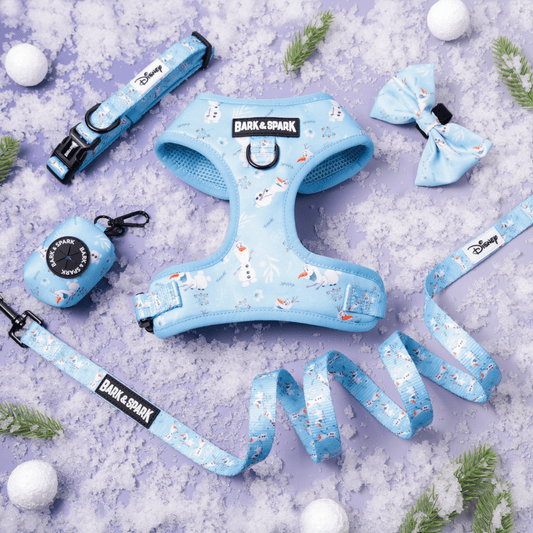 Official Disney Frozen (Olaf's Winter Wonderland)  Complete Dog Harness Set