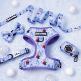 Official Disney Frozen (Snow Sisters) Complete Dog Harness Set