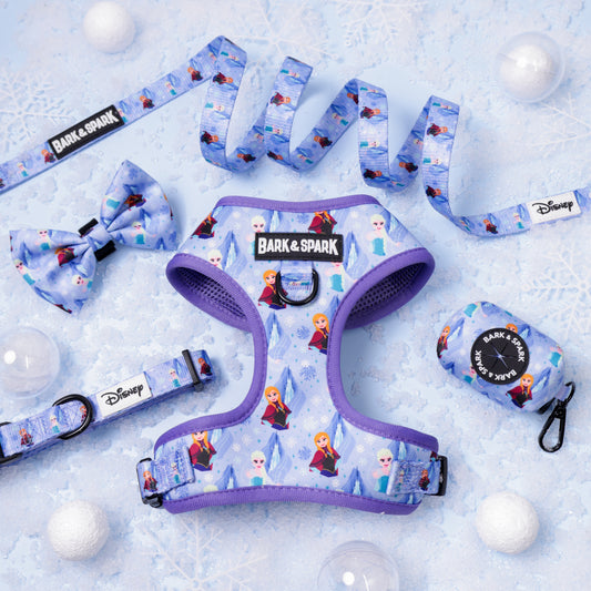 Official Disney Frozen (Snow Sisters)  Dog Harness and Leash Set