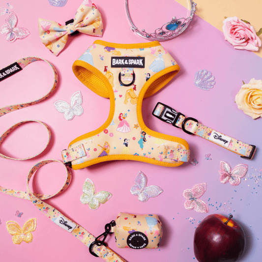 Official Disney Princess (Royal Ball) Dog Harness and Leash Set