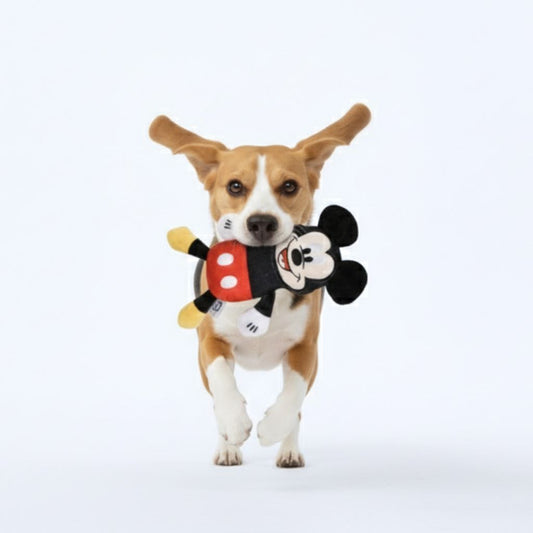 Official Disney  Mickey Squeaky