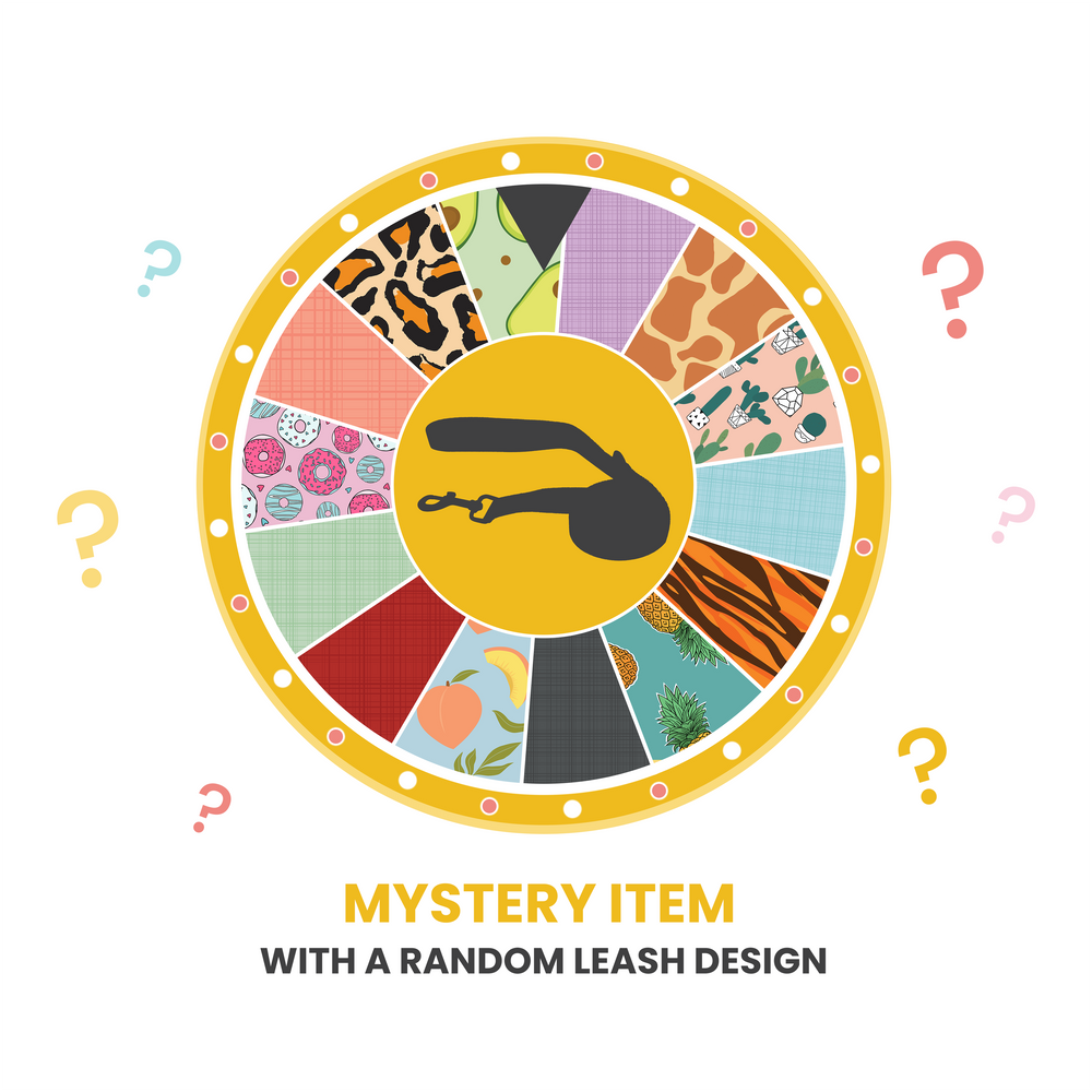 Dog Leash - Mystery